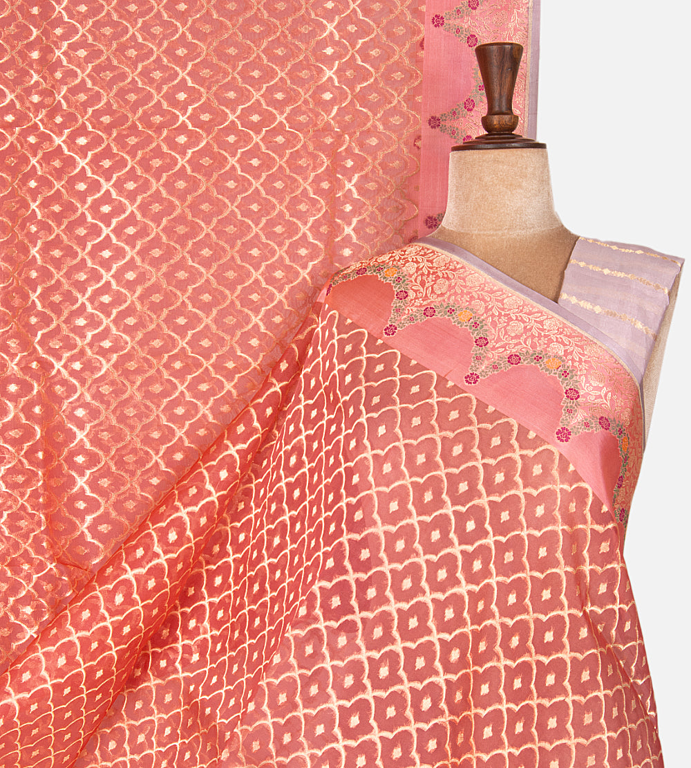 Deep Coral Organza Saree
