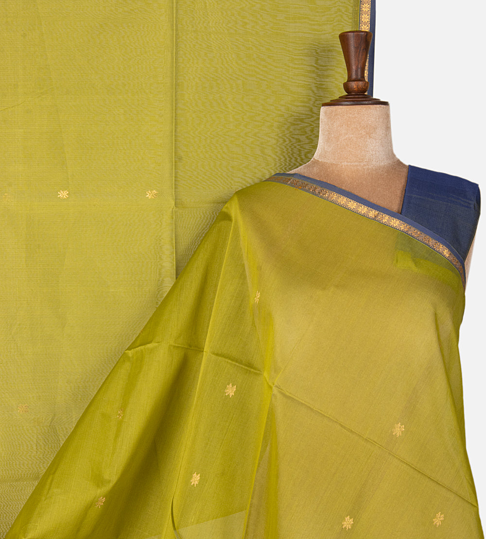 Light Green Maheshwari Cotton Saree