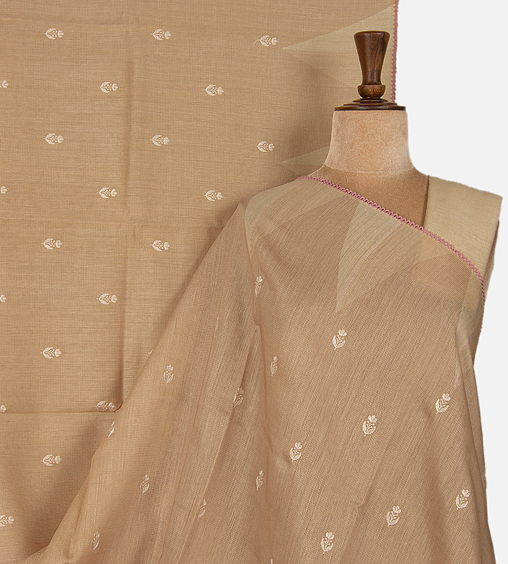 Beige Moonga Tussar Saree