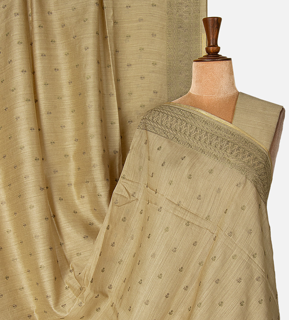 Champagne beige Tussar Organza Saree