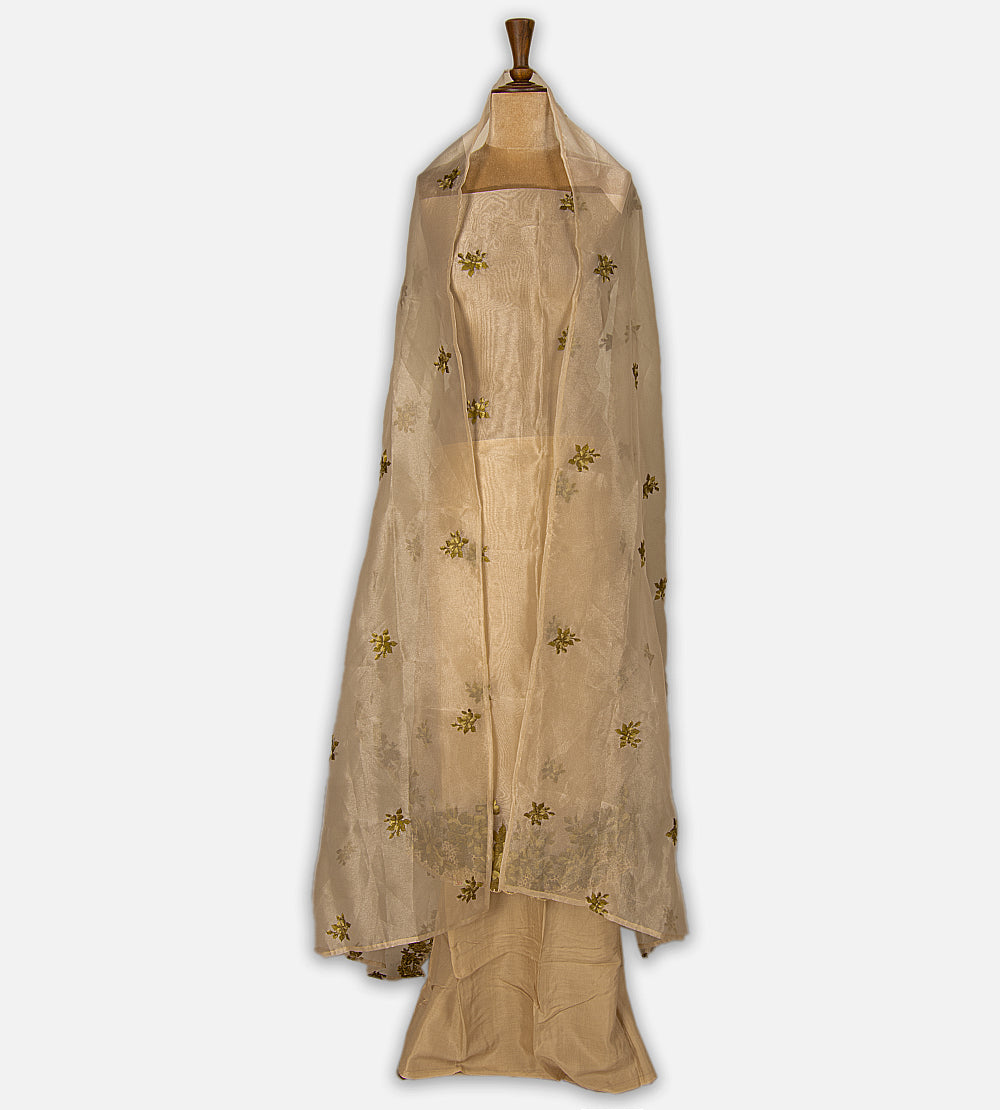 Light Beige Tissue Semi Organza Salwar