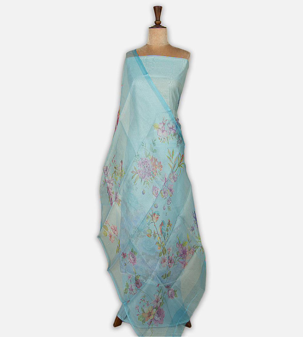 Blue Tissue Mul Salwar