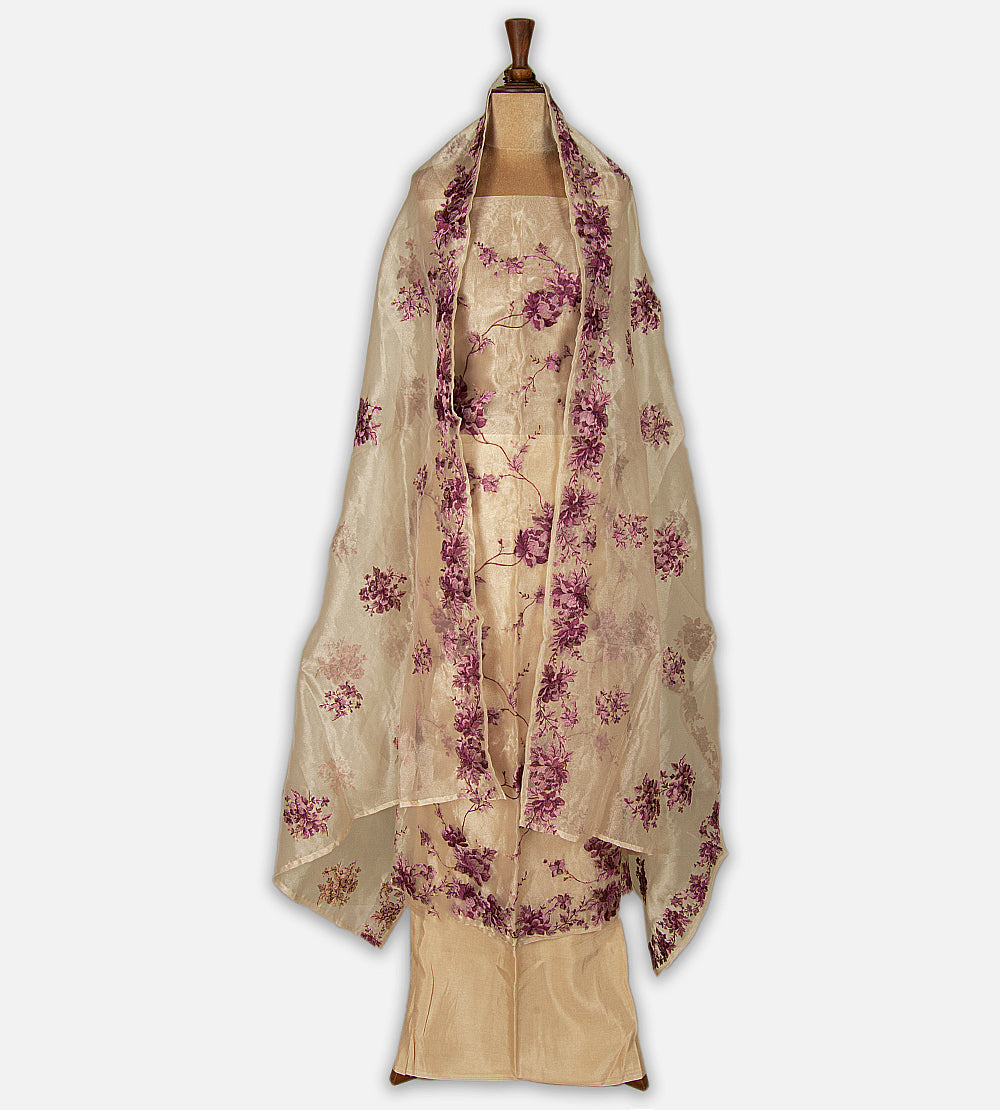 Light Beige Tissue Semi Organza Salwar