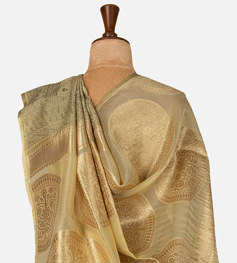 Champagne beige Tussar Organza Saree