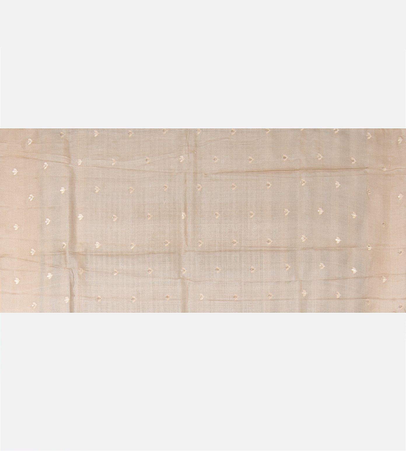 Light Beige Tussar Saree