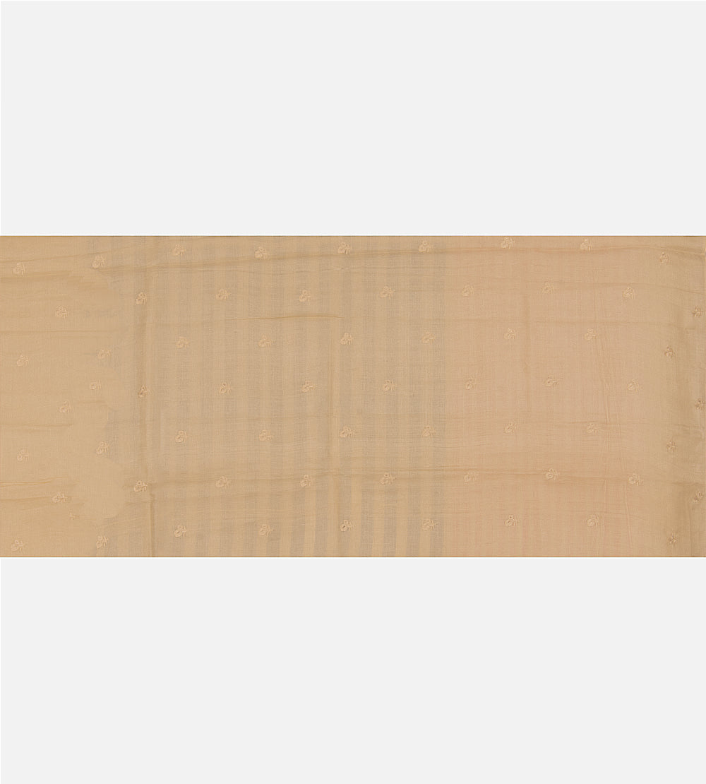 Beige Tussar Saree