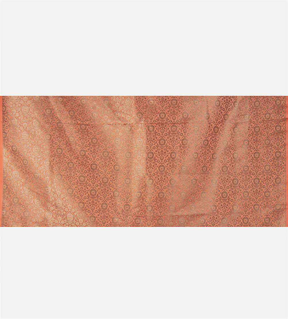 Beige Tissue Organza Saree