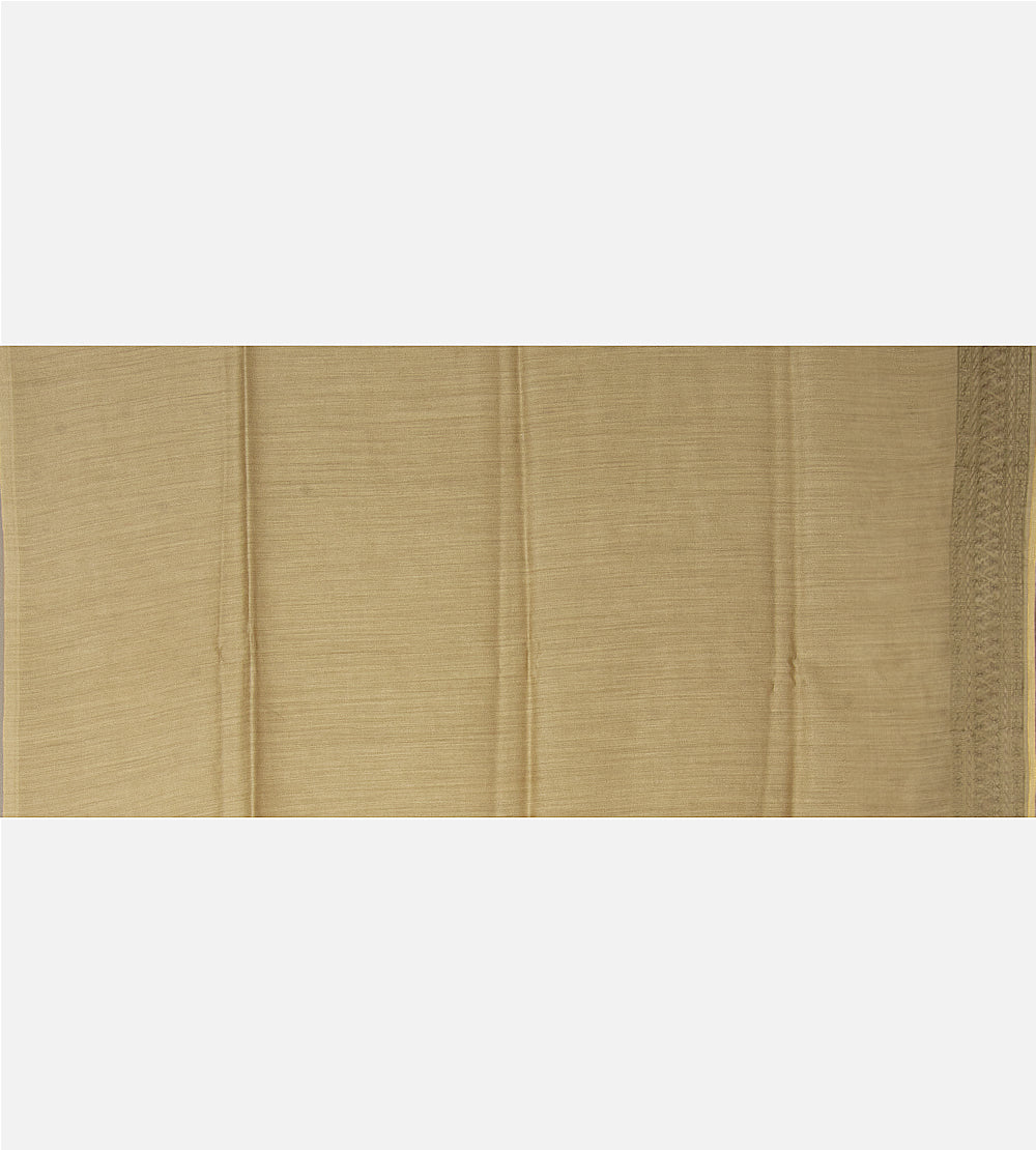 Champagne beige Tussar Organza Saree