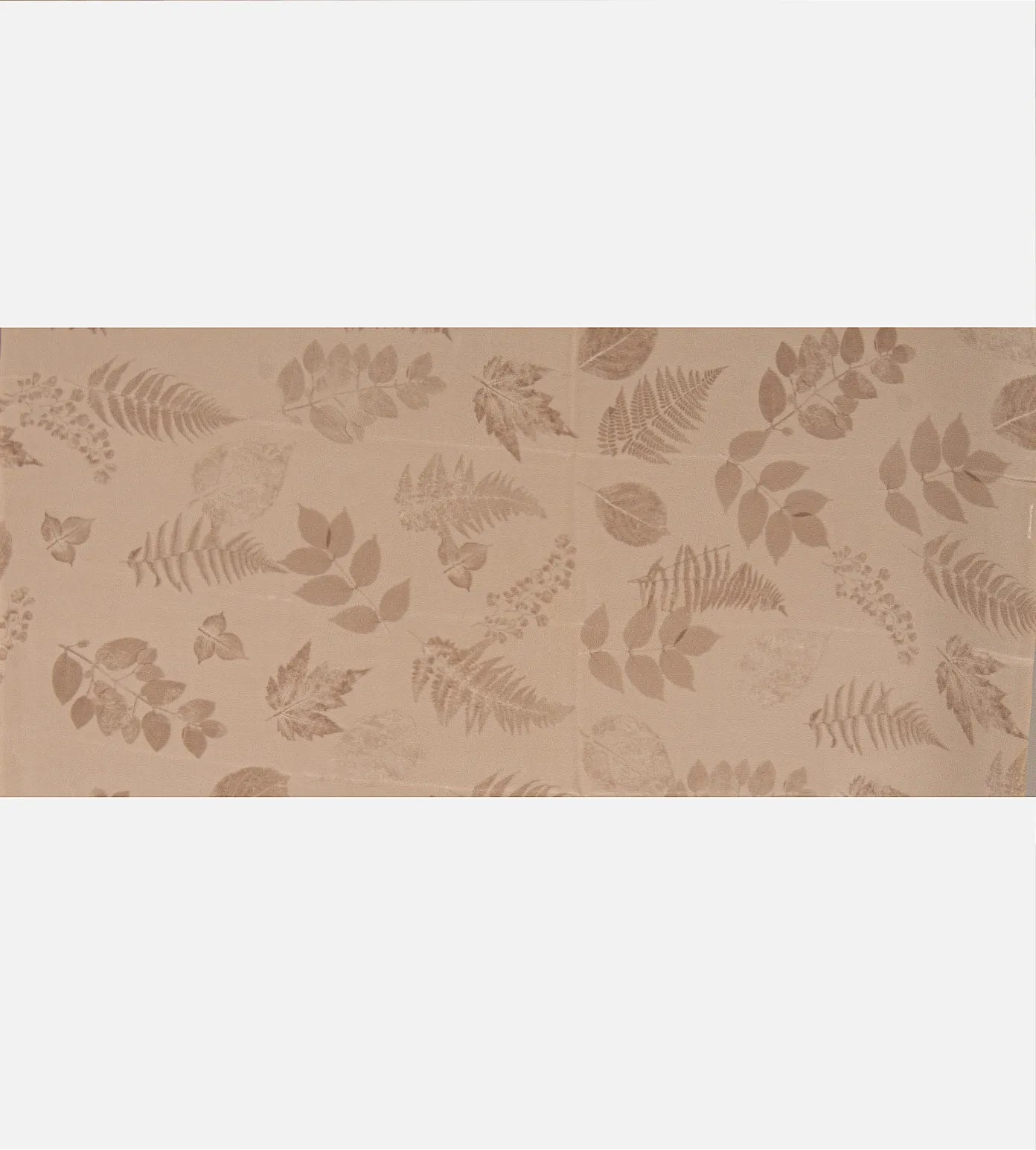 Light Beige Crepe Saree