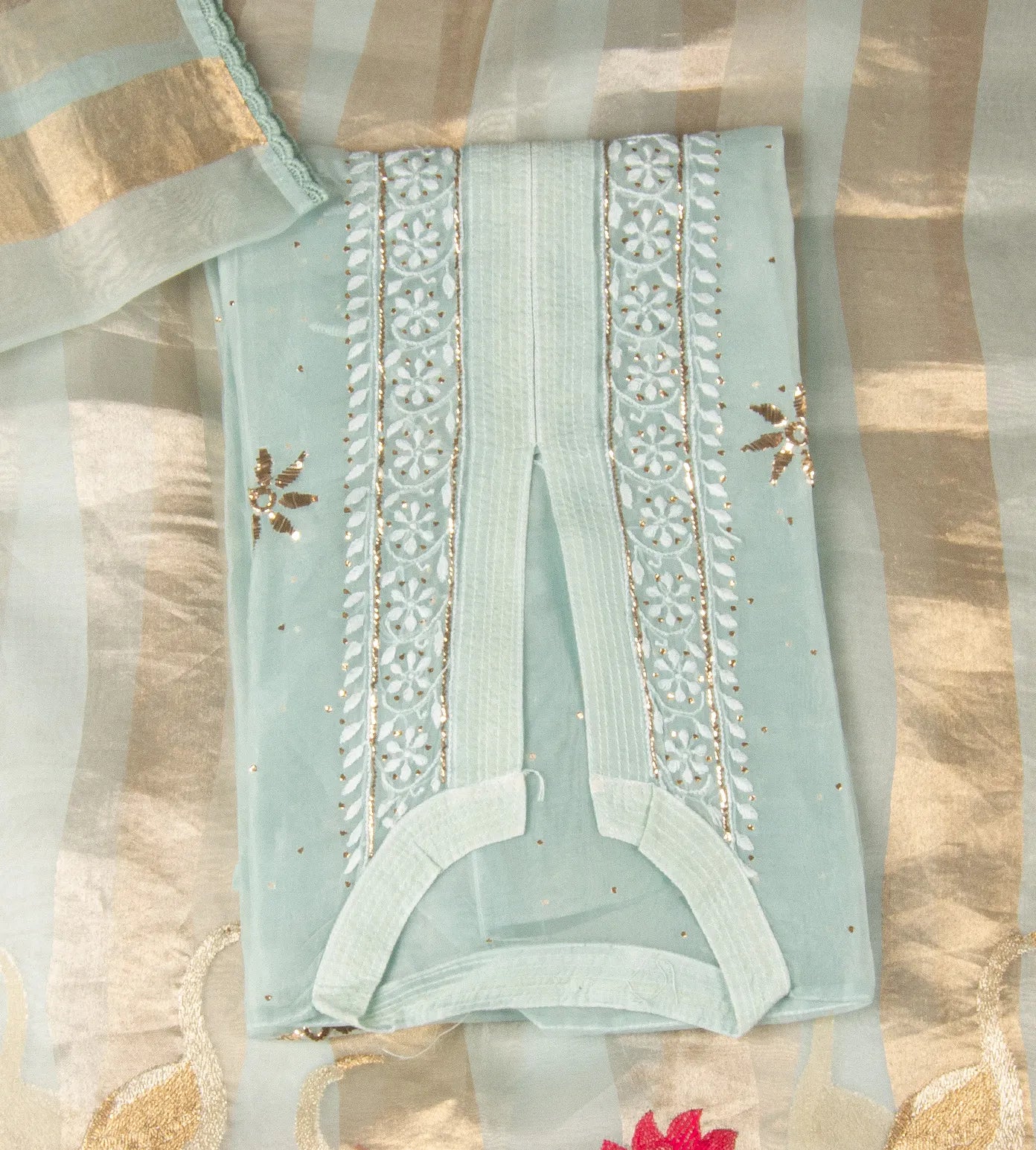 Pastel Blue Organza Salwar