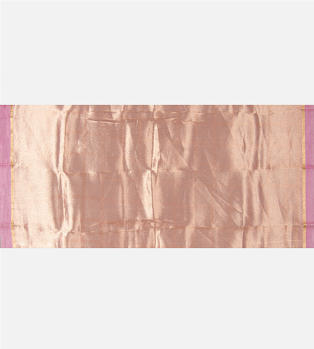 Light Pink Tissue Organza Saree