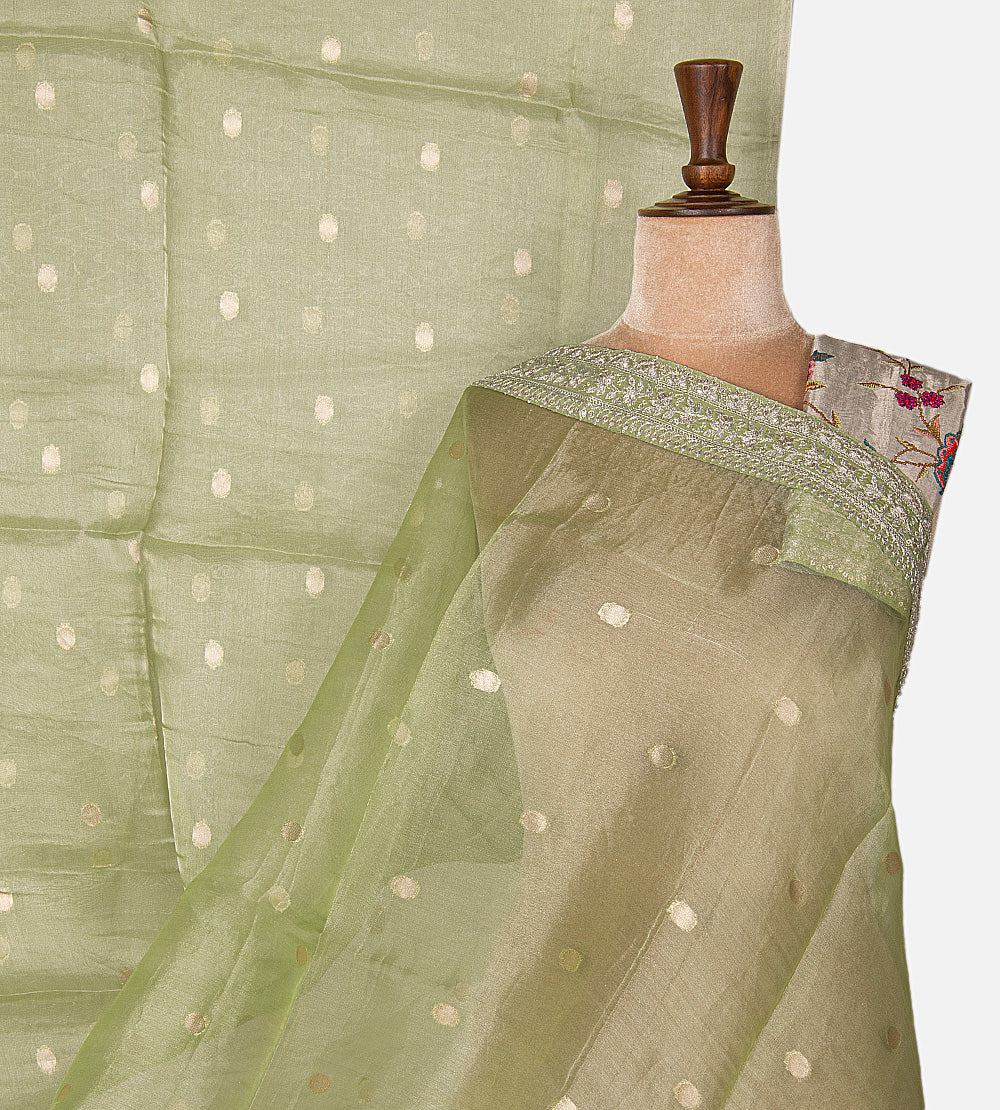Green Organza Saree
