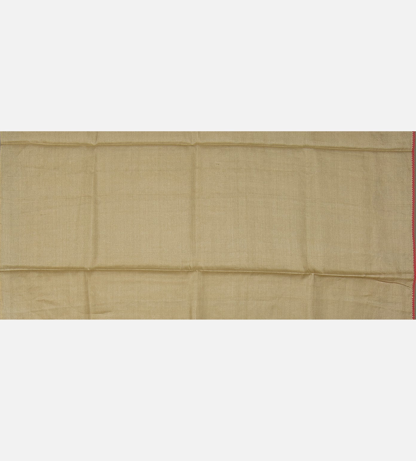 Light Green Tussar Saree