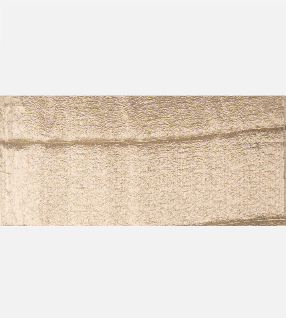 Light Beige Organza Saree