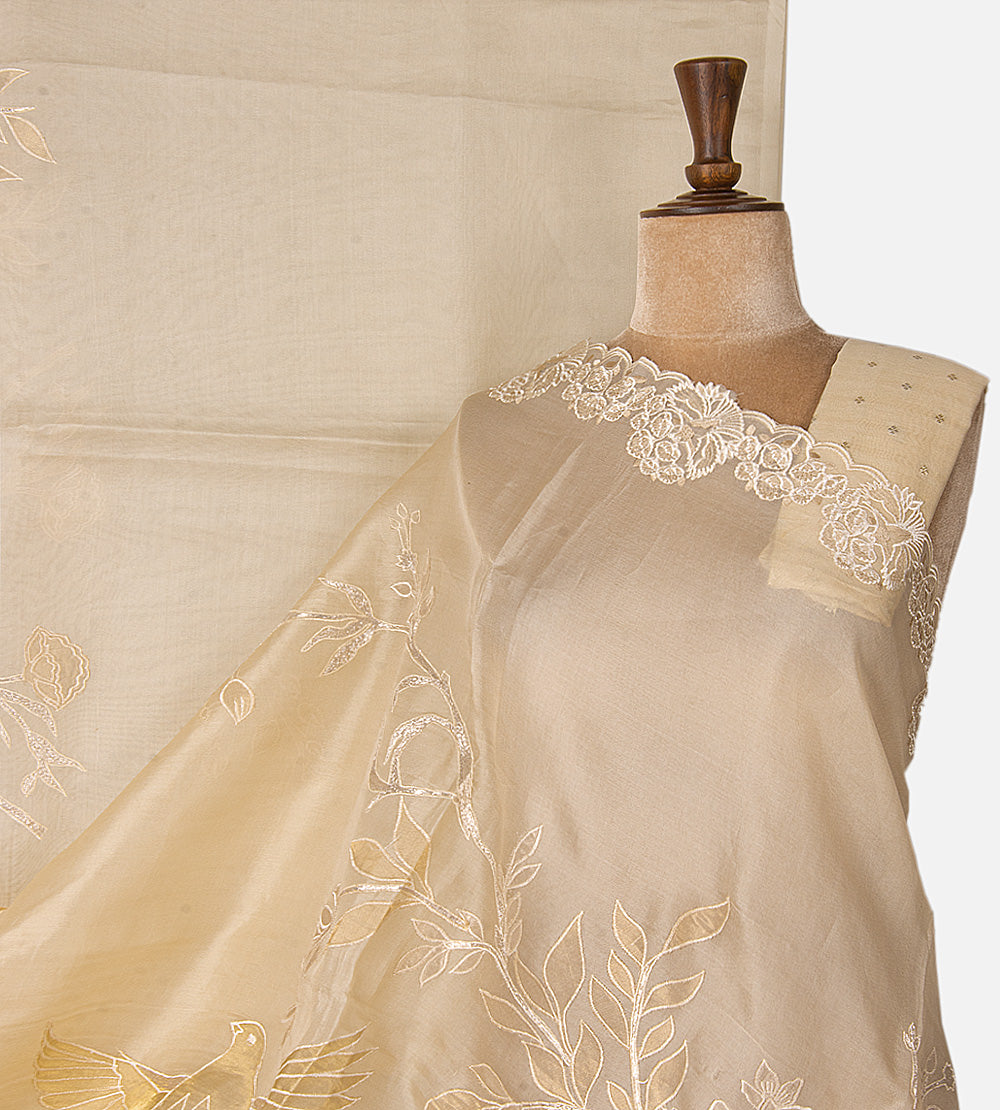 Light Beige Organza Saree