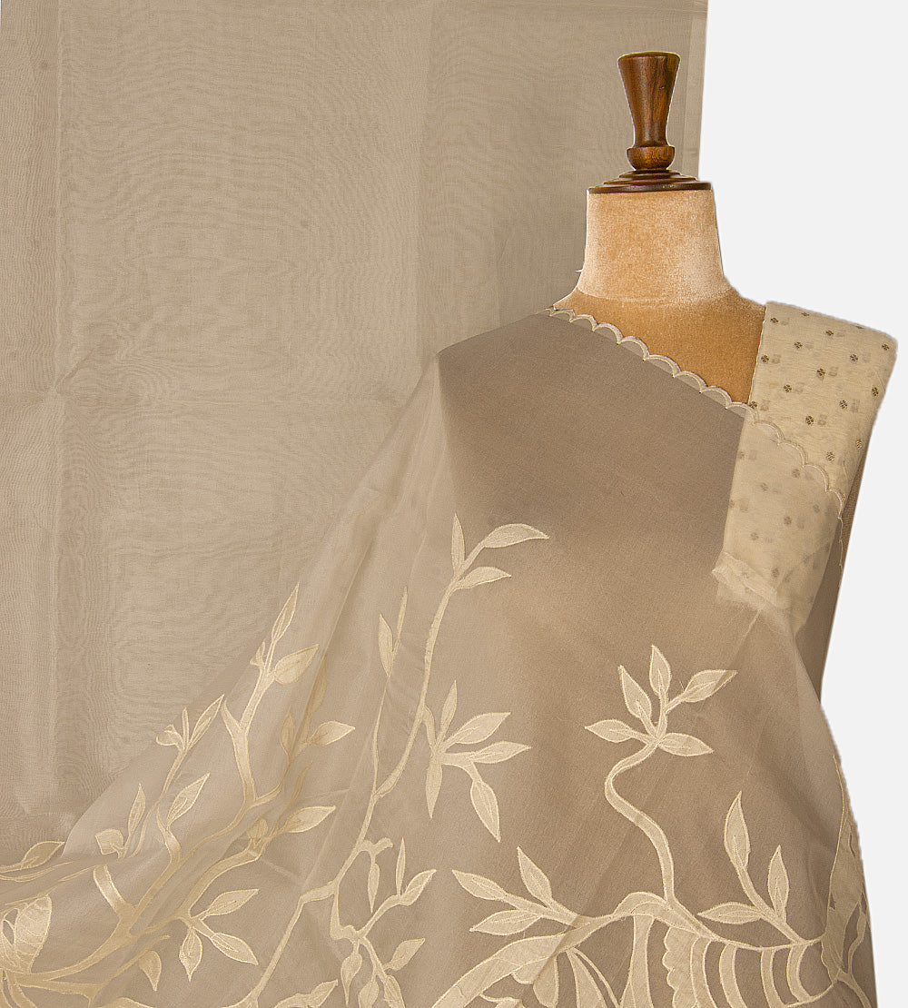 Light Beige Organza Saree