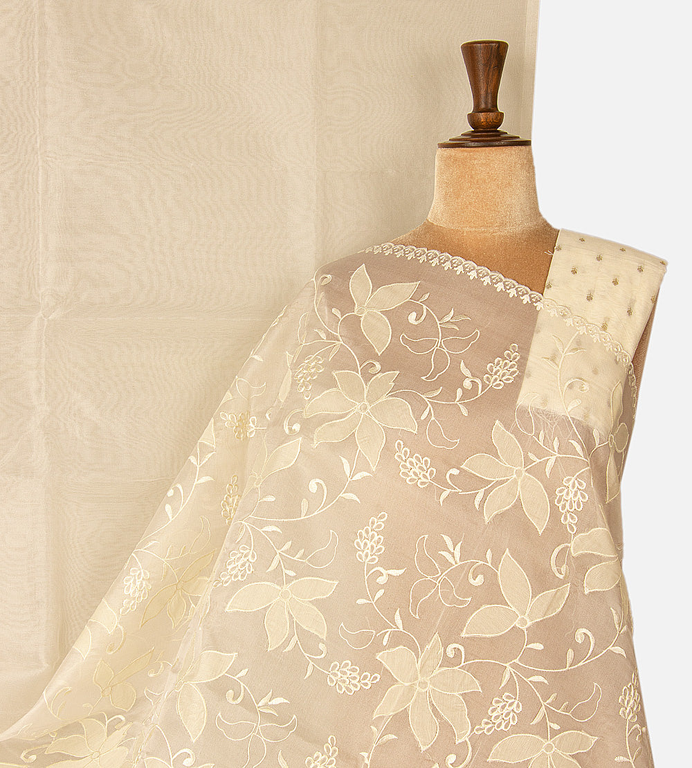 Light Beige Organza Saree