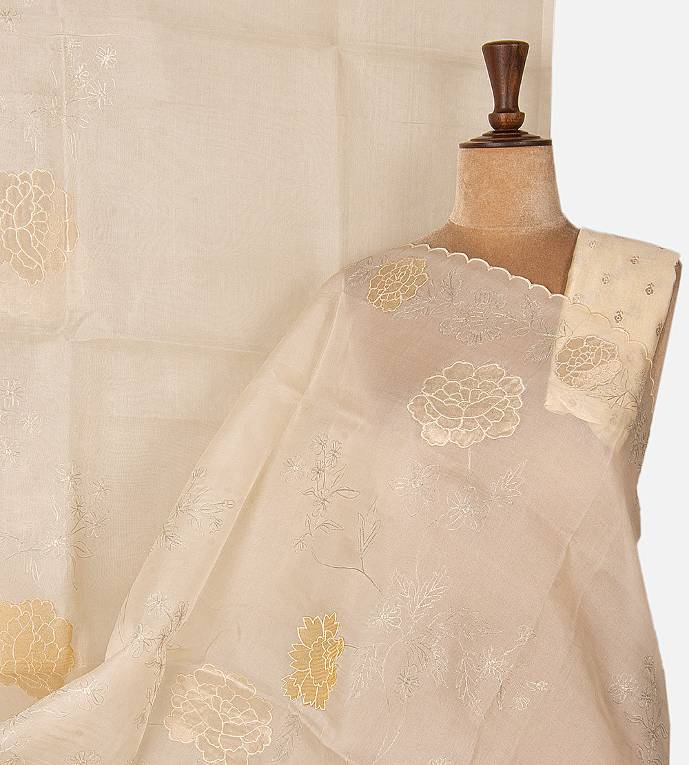 Light Beige Organza Saree