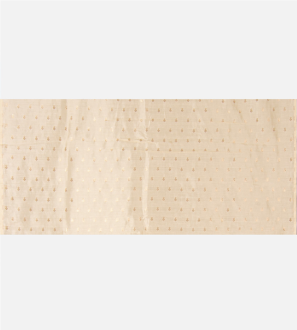 Light Beige Organza Saree