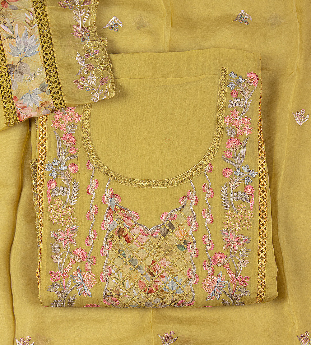 Gold Colour Organza Salwar