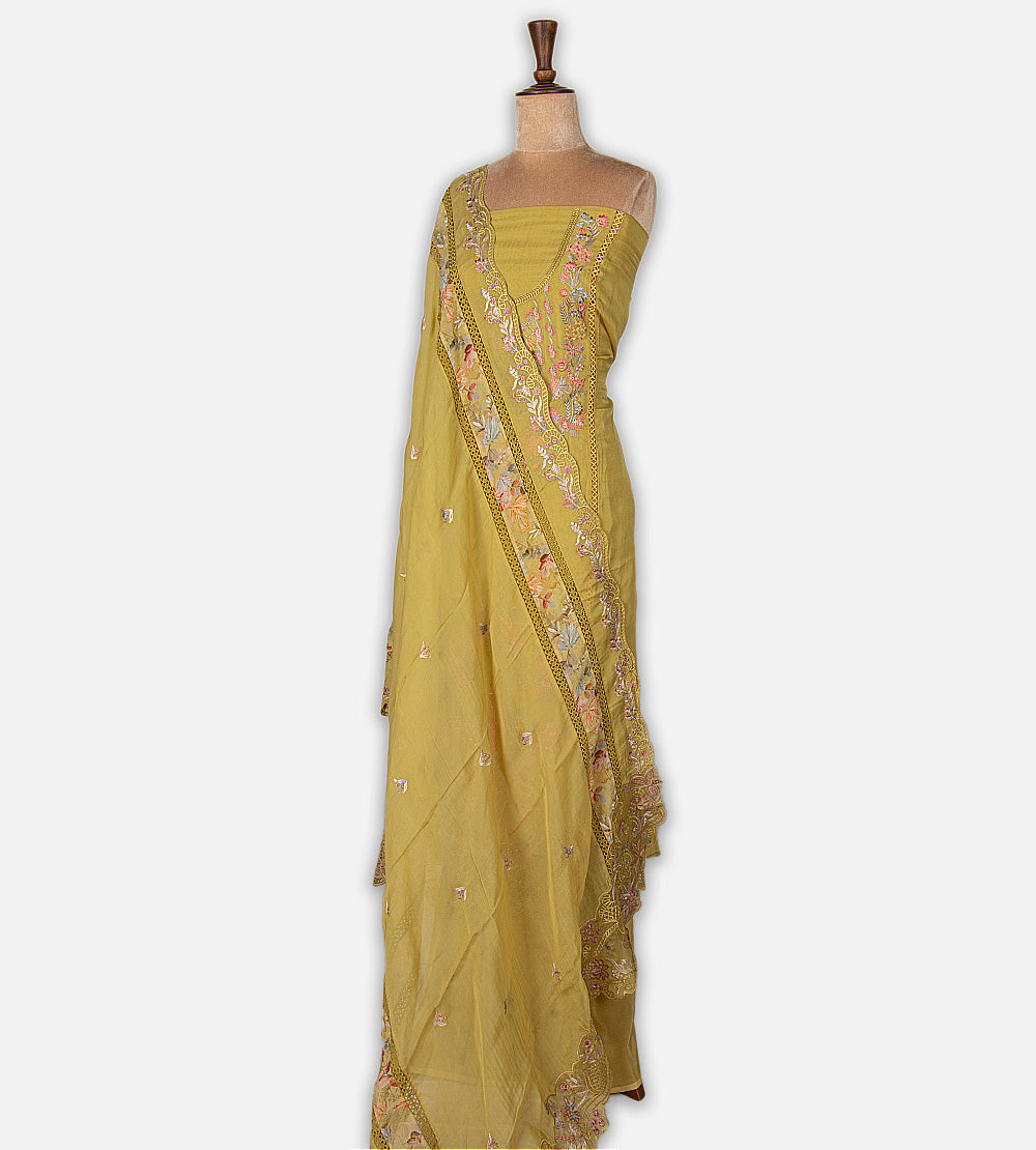Gold Colour Organza Salwar