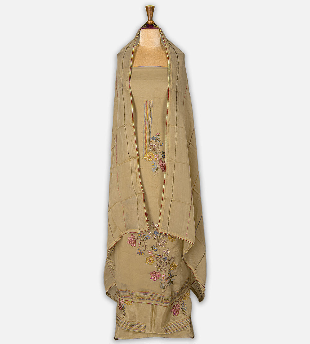 Beige Organza Salwar