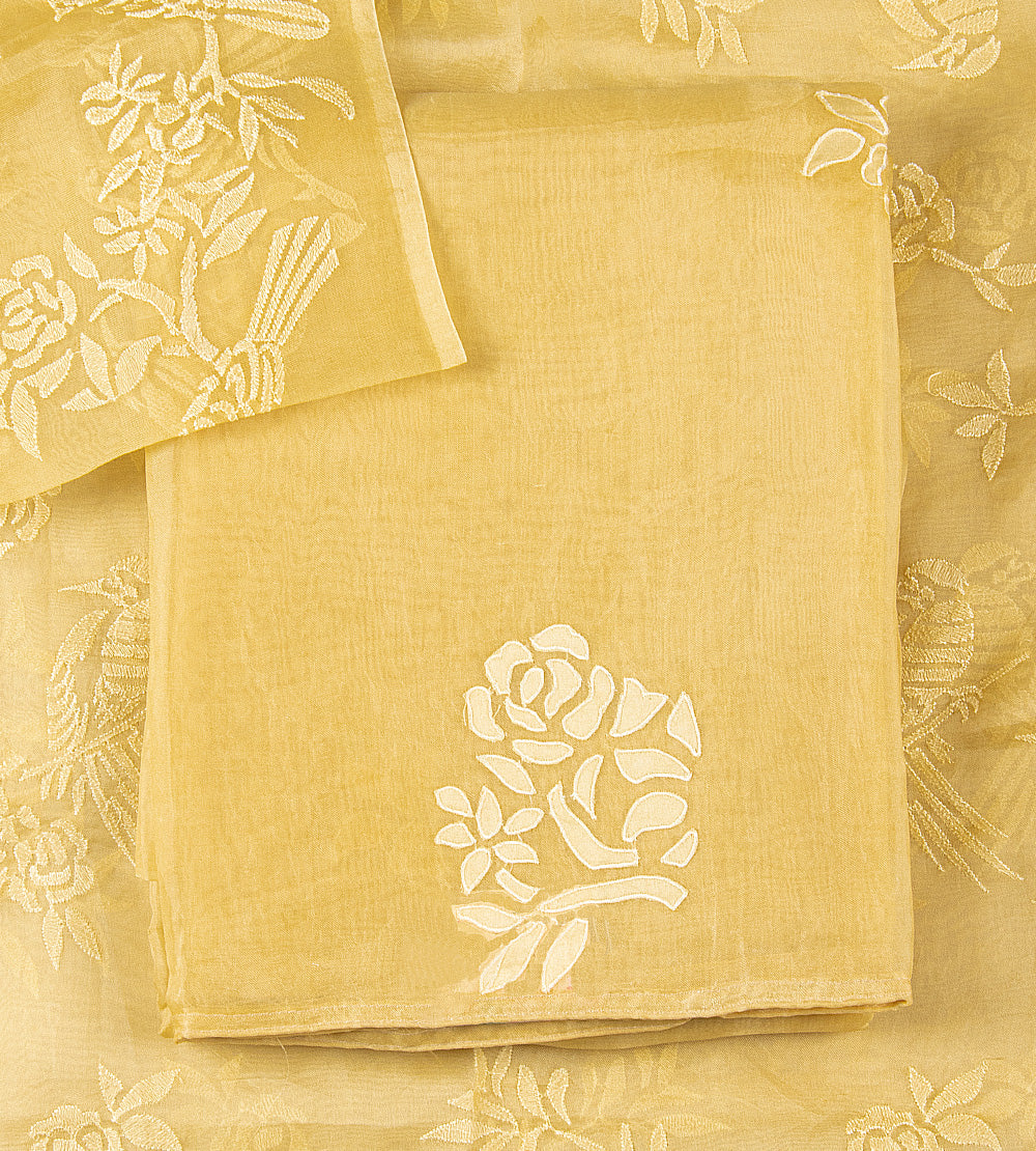 Yellow Organza Salwar