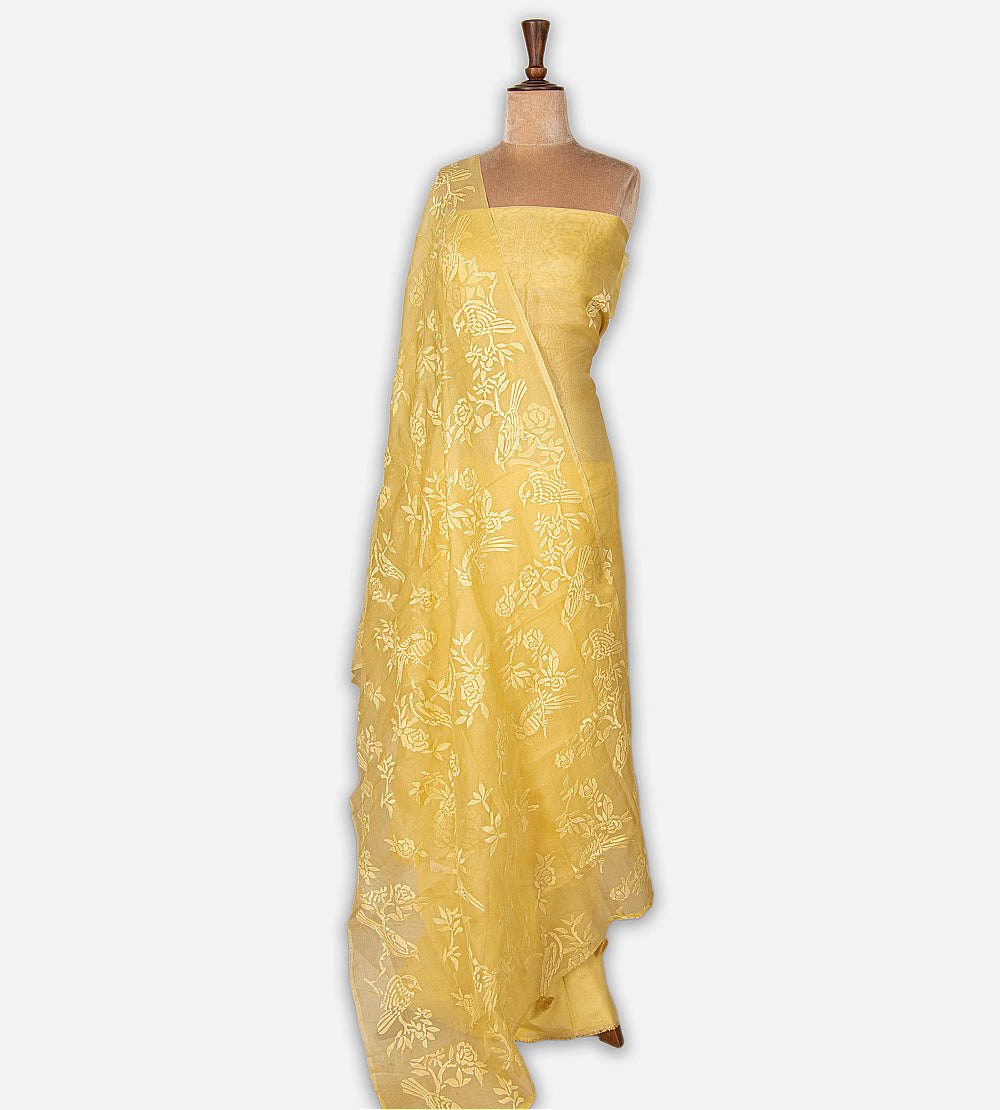 Yellow Organza Salwar