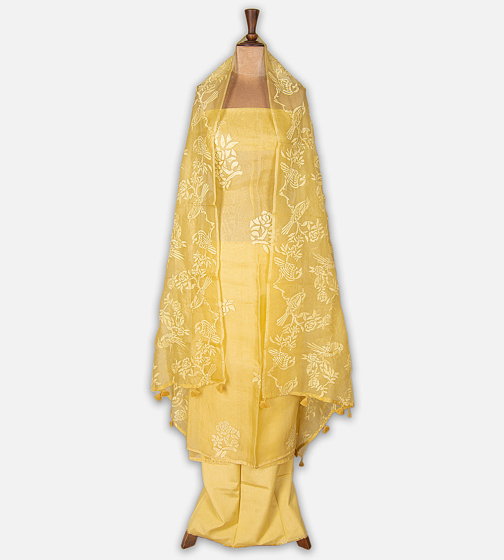 Yellow Organza Salwar