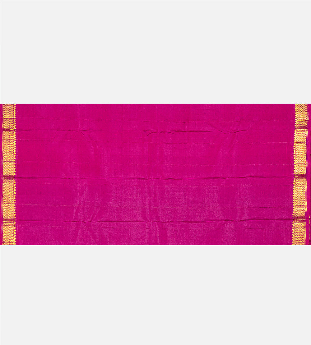 Pastel Kanchipuram Silk Saree