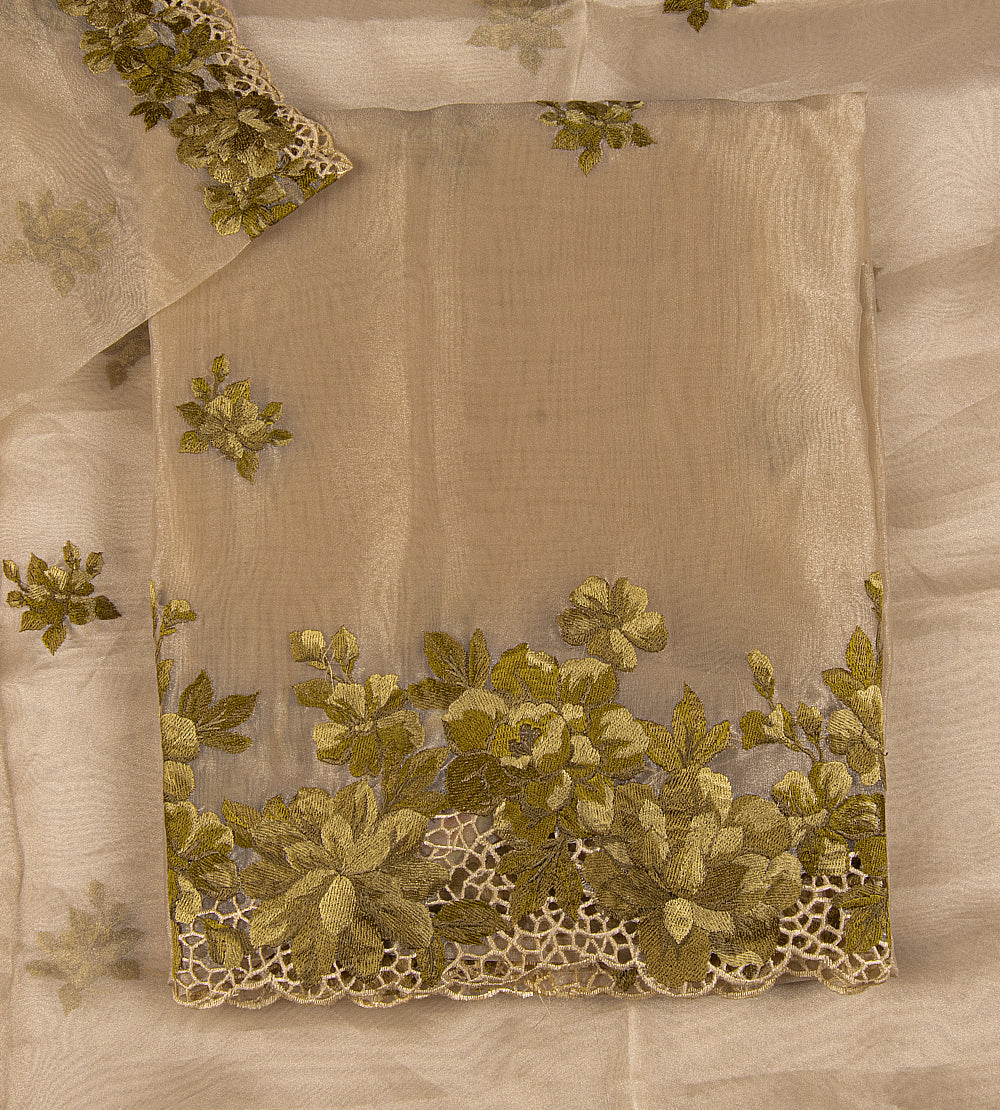 Light Beige Tissue Semi Organza Salwar