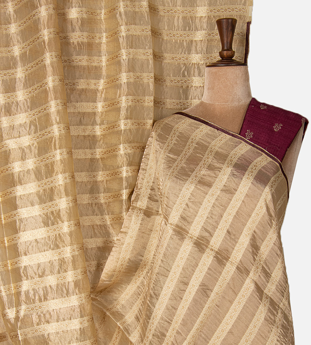 Beige Tussar Organza Saree