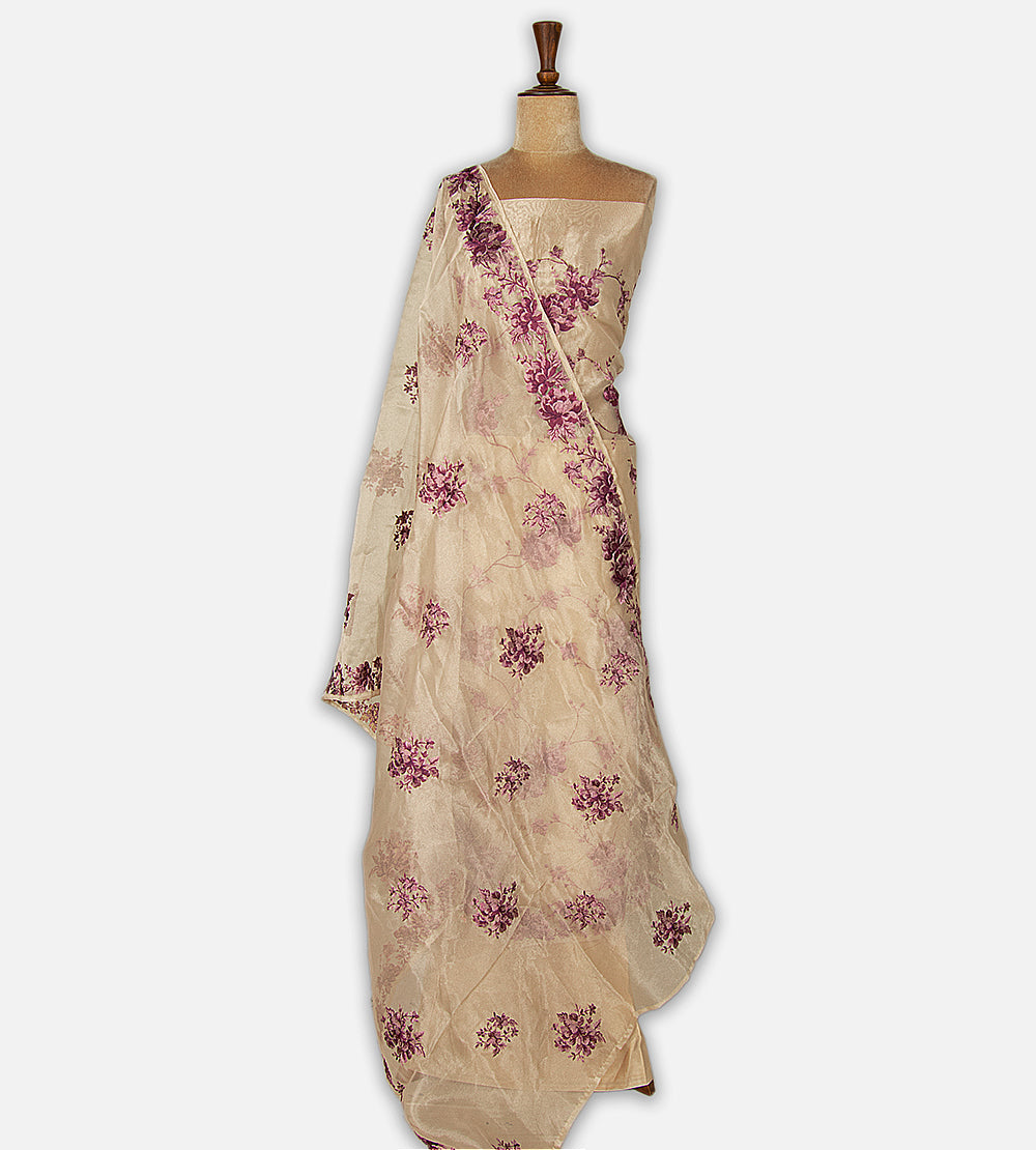Light Beige Tissue Semi Organza Salwar