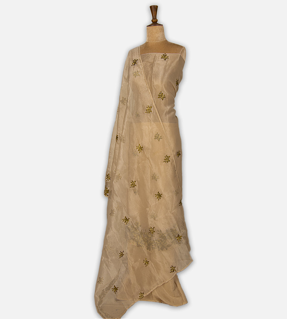 Light Beige Tissue Semi Organza Salwar