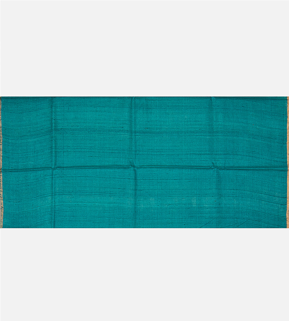 Blue Tussar Saree