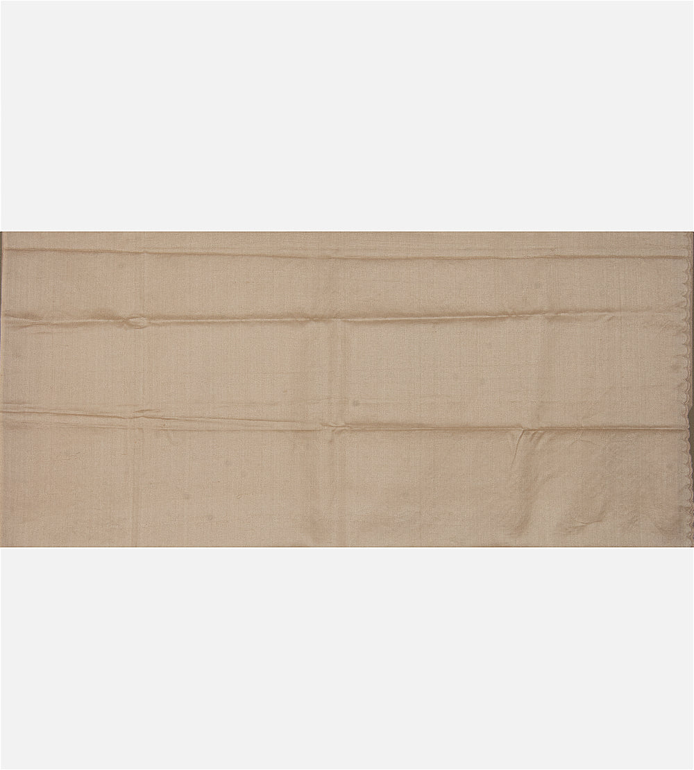Light Beige Tussar Saree