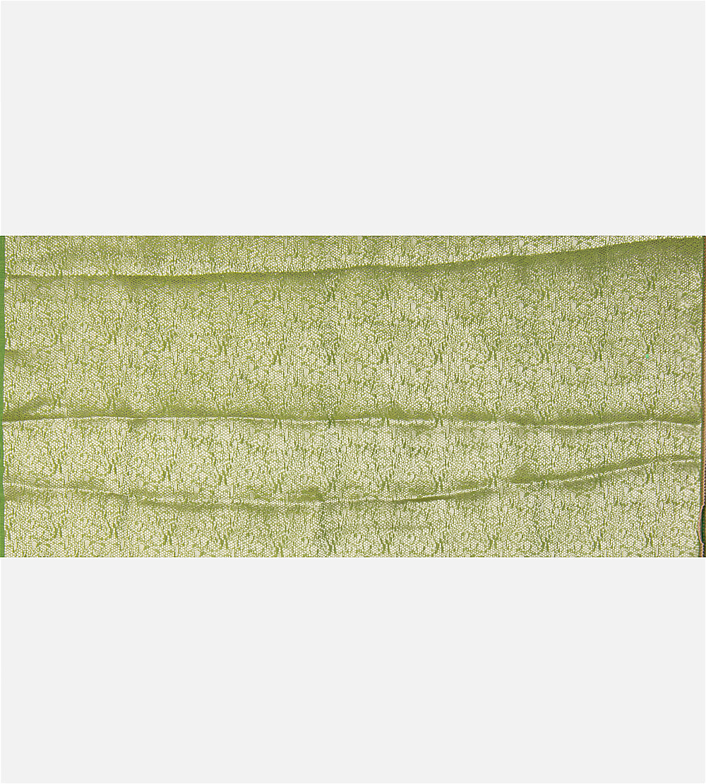 Green Organza Saree