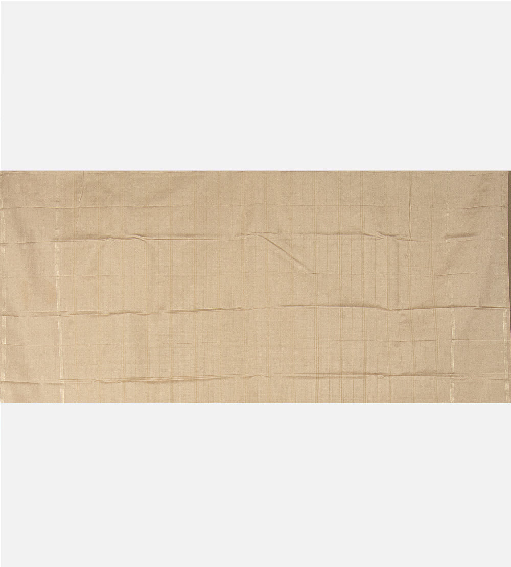 Multicolour Kanchipuram Silk Saree
