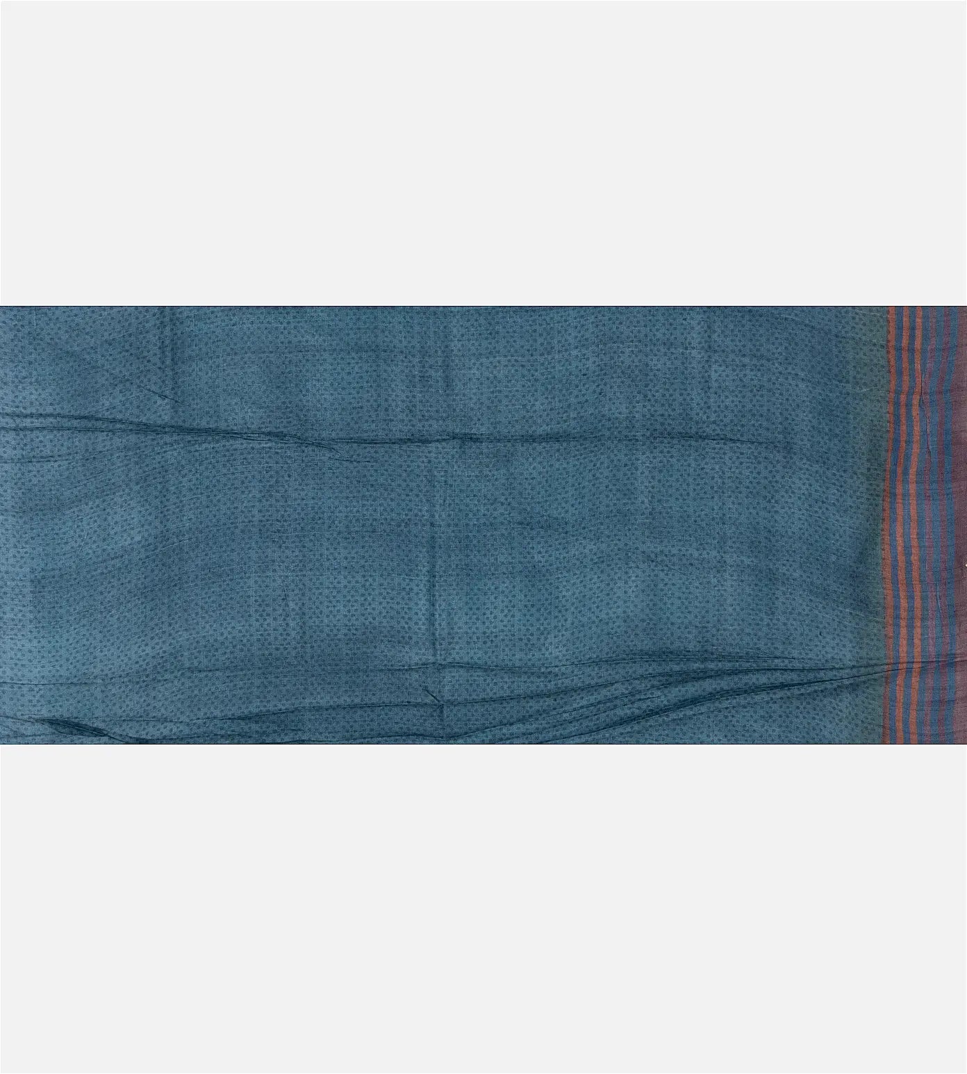 Blue Tussar Printed Saree