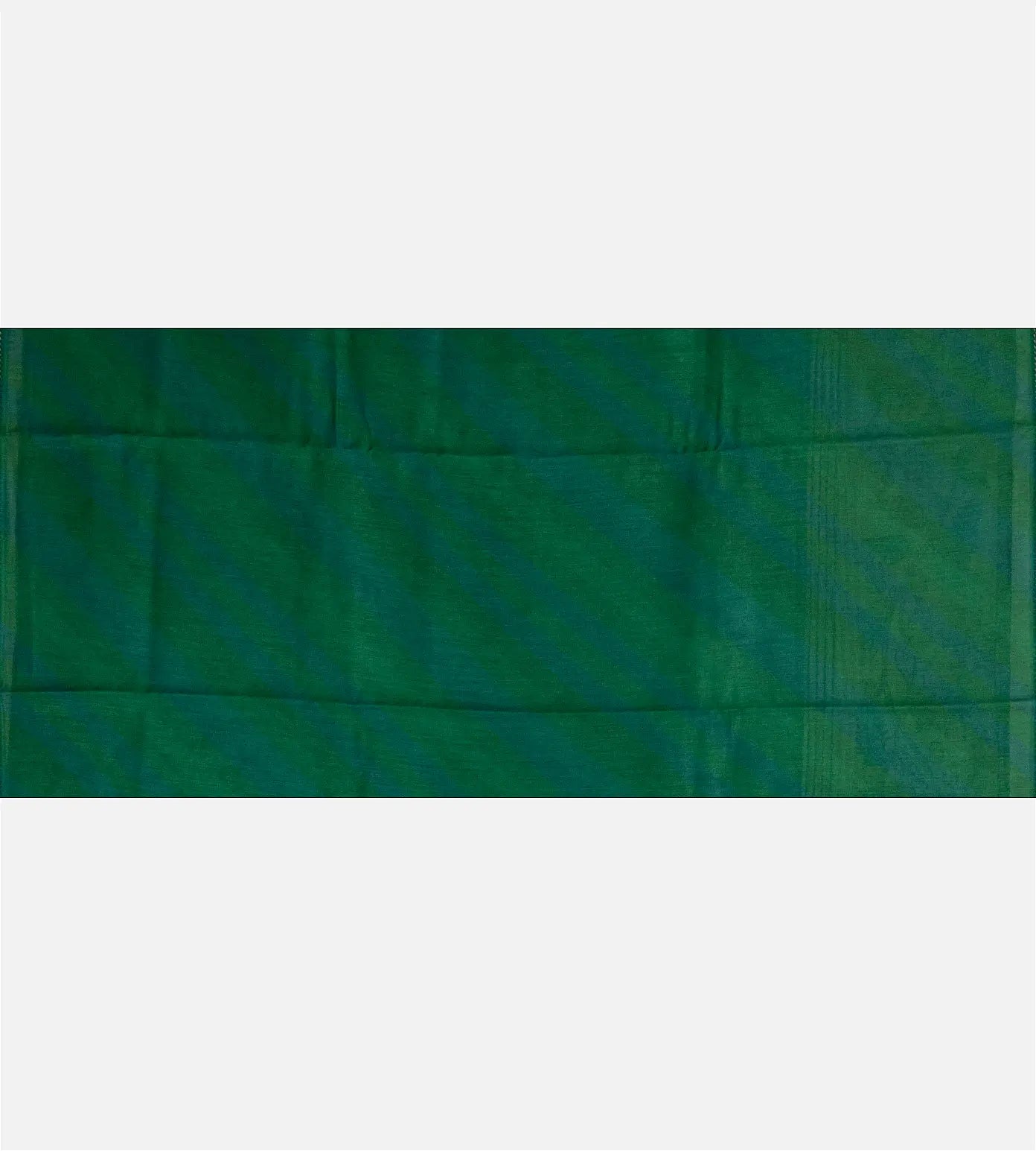 Blue Tussar Saree