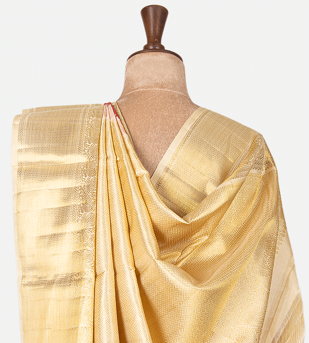 Rouge Pink Kanchipuram Silk Saree