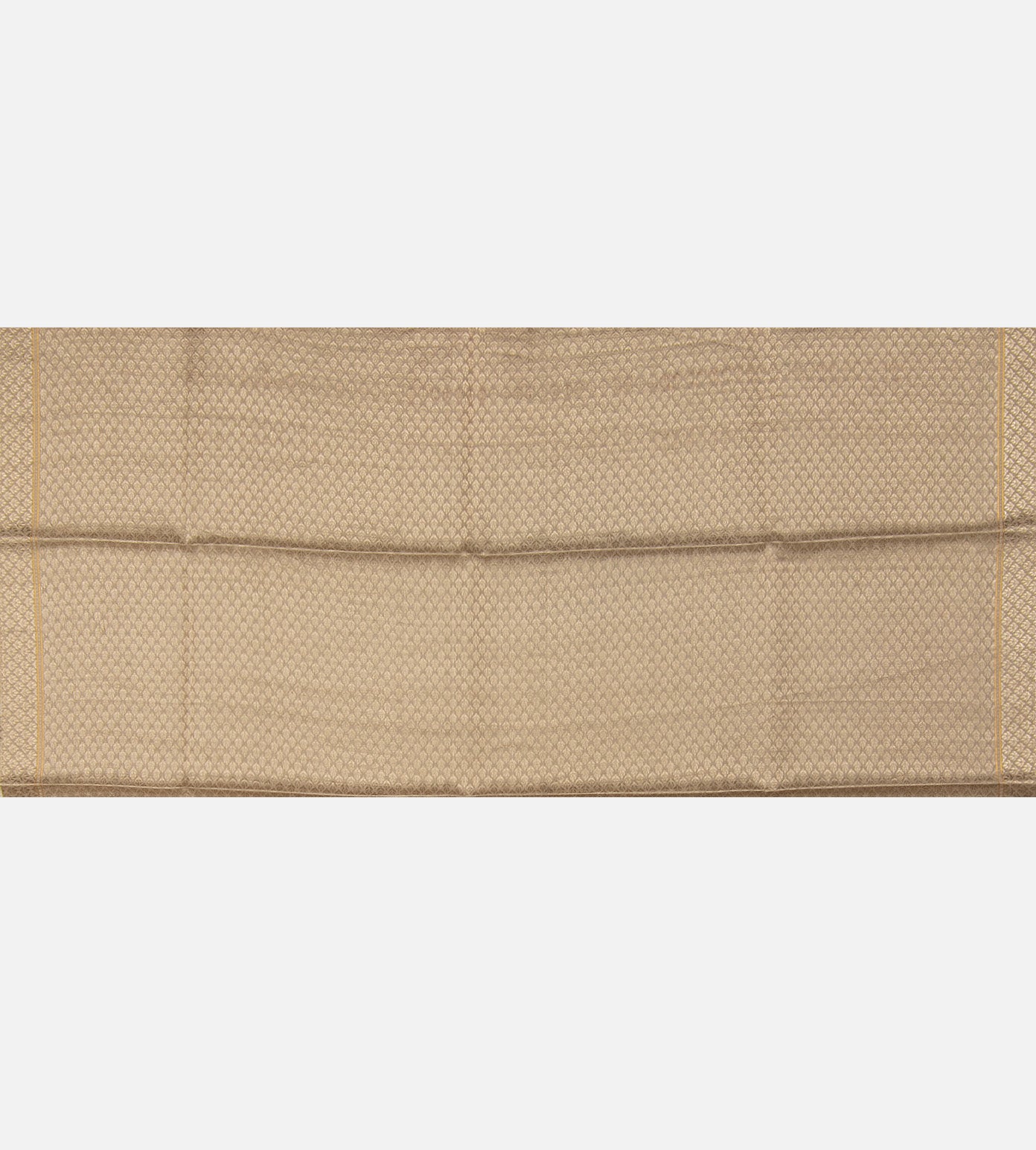 Beige Tussar Saree