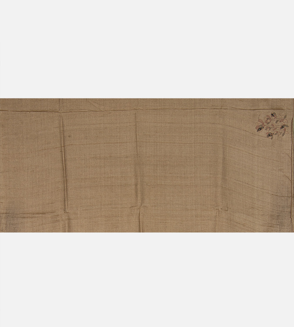 Light Brown Tussar Saree