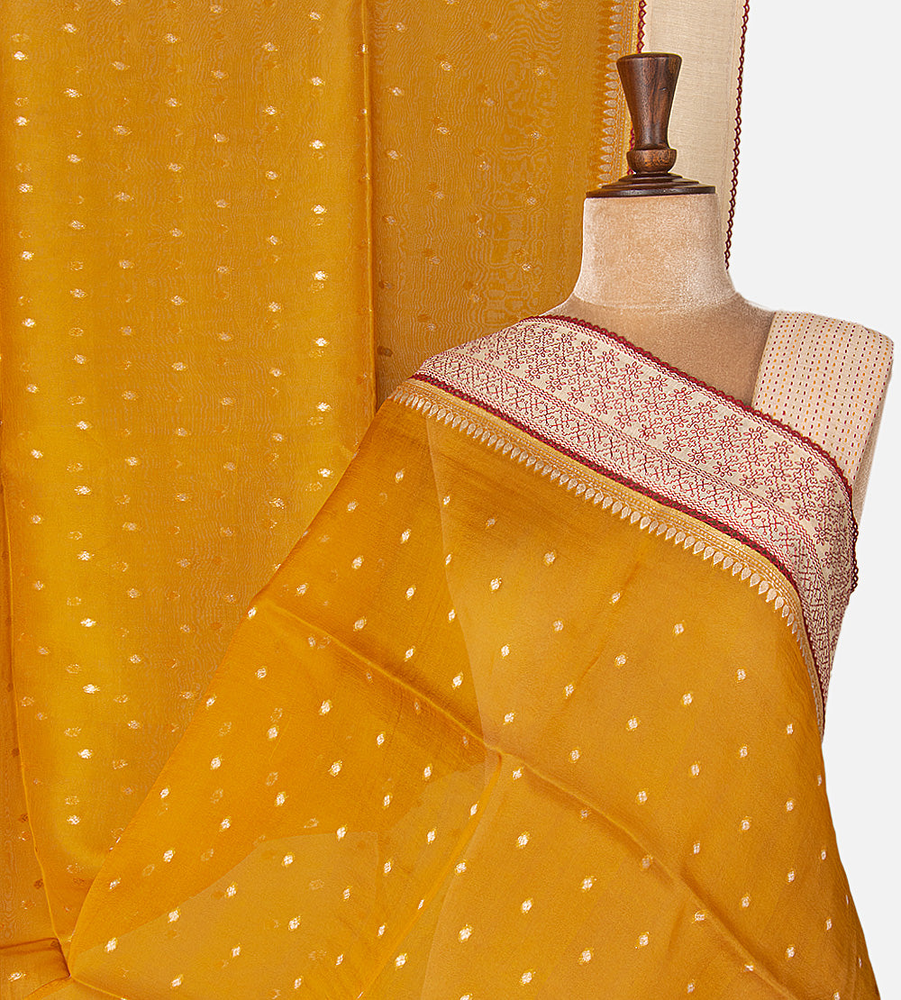 Yellow Tussar Organza Saree