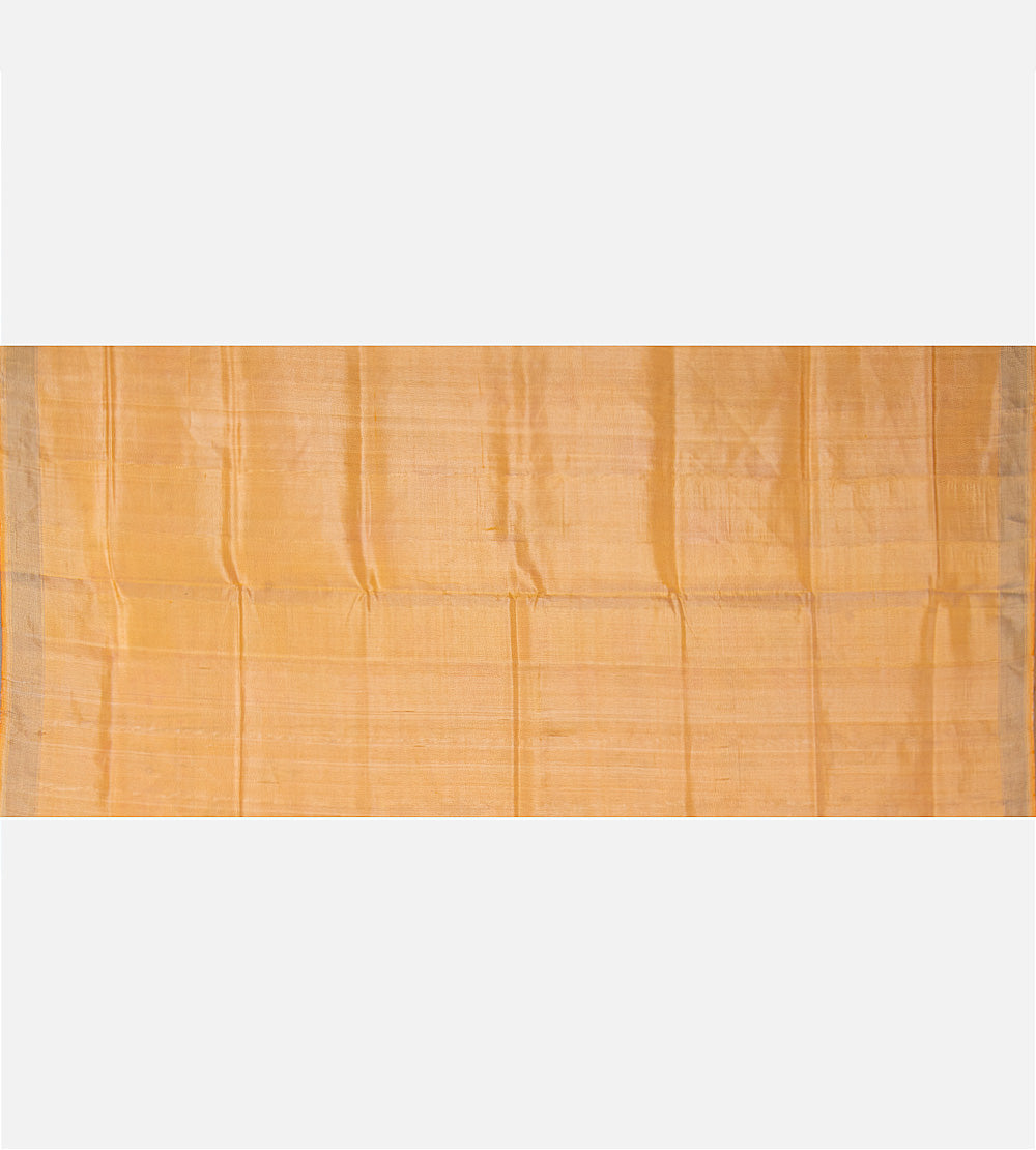 Peach Patola Silk Saree