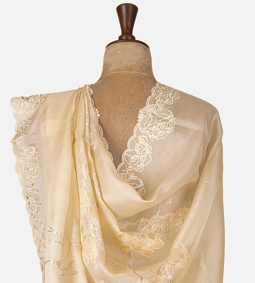 Light Beige Organza Saree