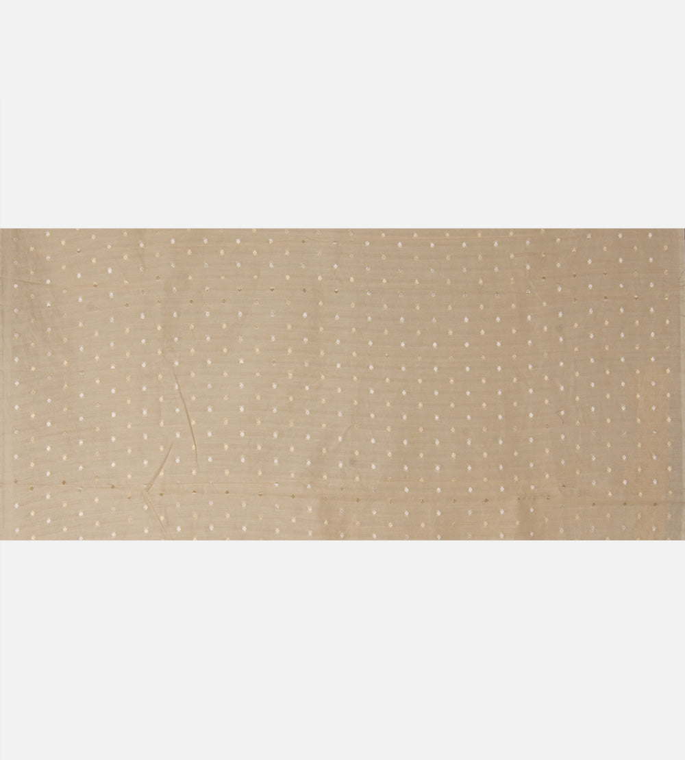 Light Beige Organza Saree