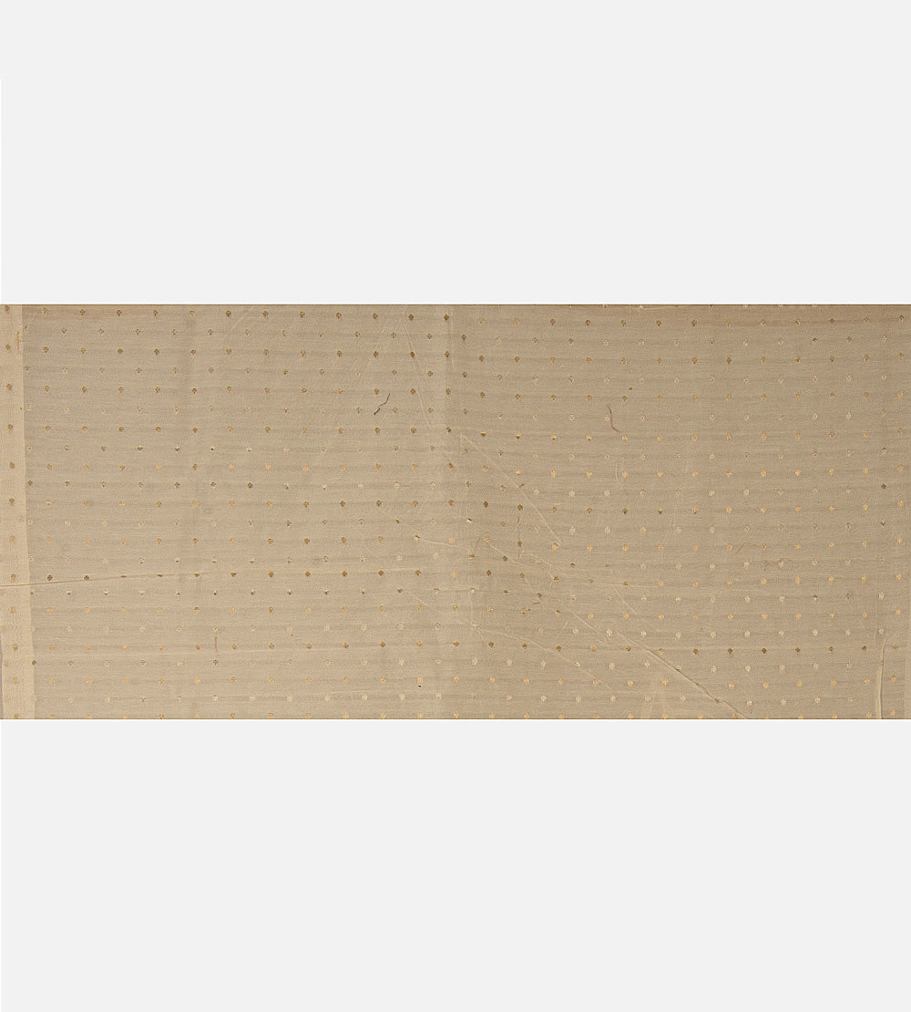 Light Beige Organza Saree