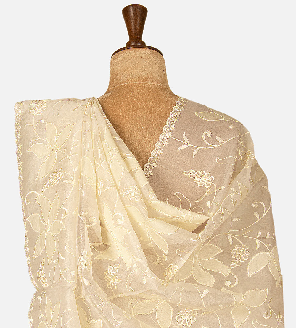 Light Beige Organza Saree