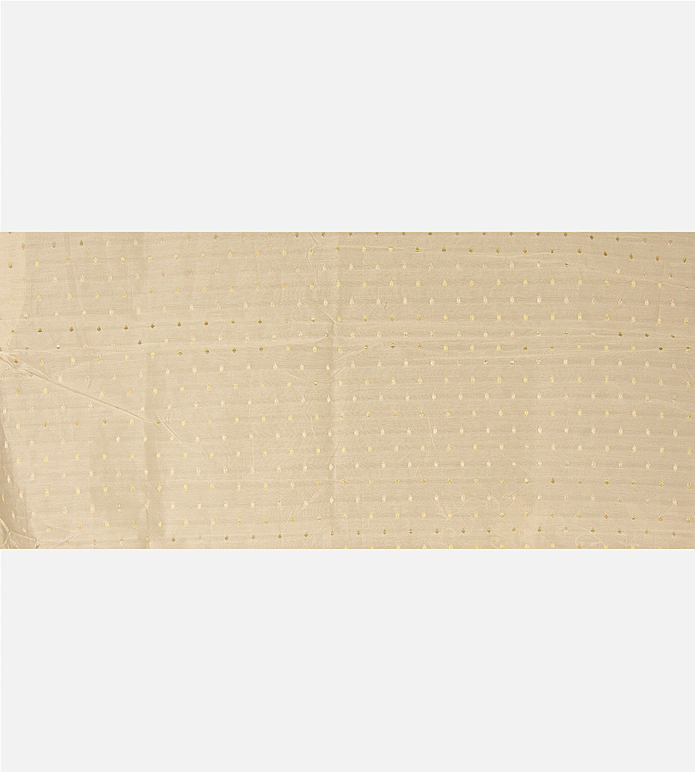 Light Beige Organza Saree